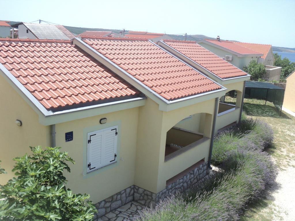 Apartments Mikecin Novigrad  Exteriér fotografie
